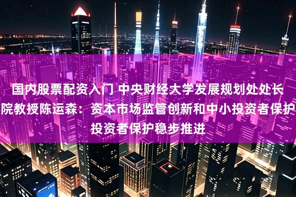 国内股票配资入门 中央财经大学发展规划处处长、会计学院教授陈运森：资本市场监管创新和中小投资者保护稳步推进